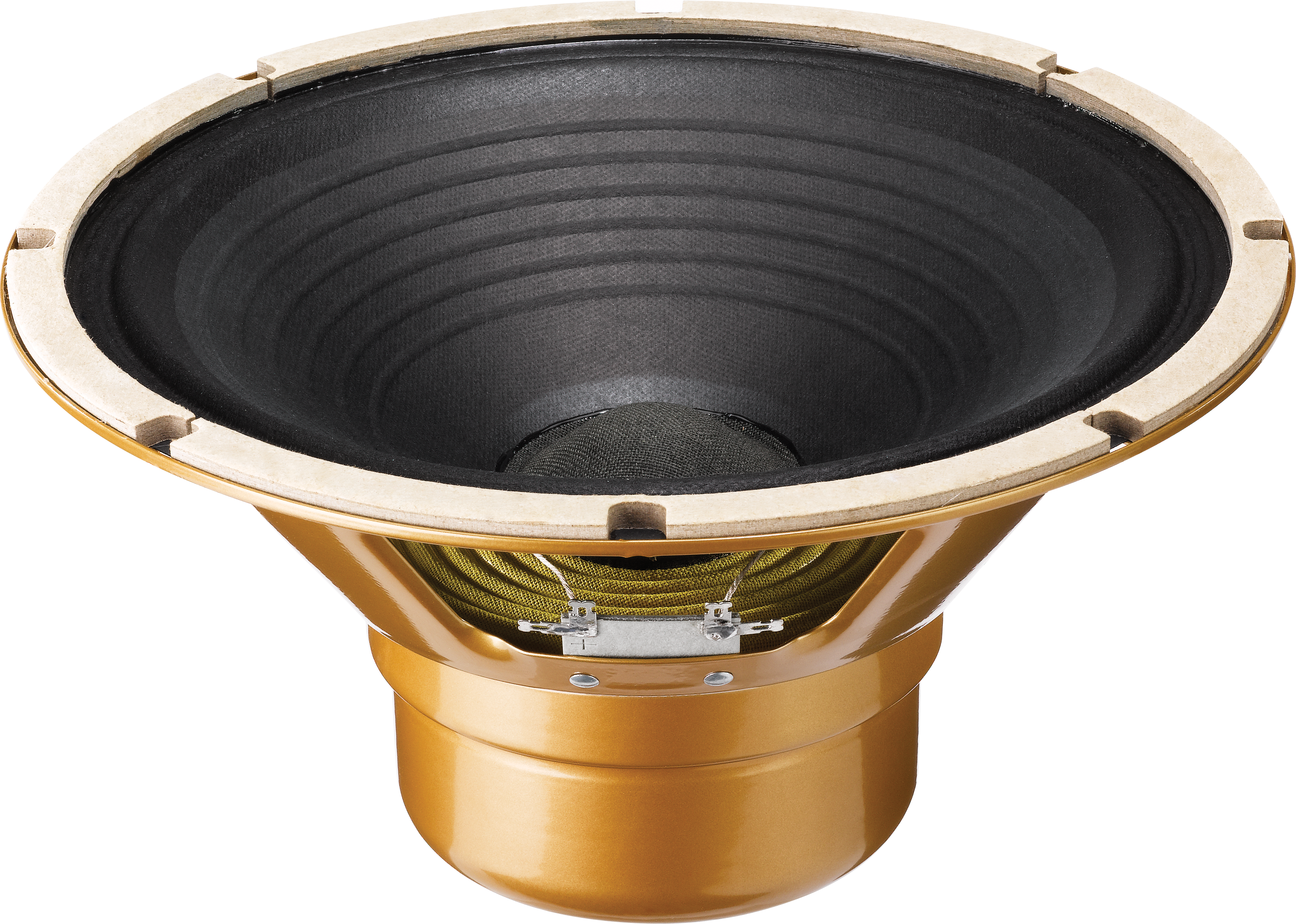 Celestion G10 Gold - 10 inch Alnico Guitar Speaker