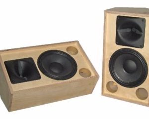 BUILD THIS! Compact 10″ two-way PA speaker design