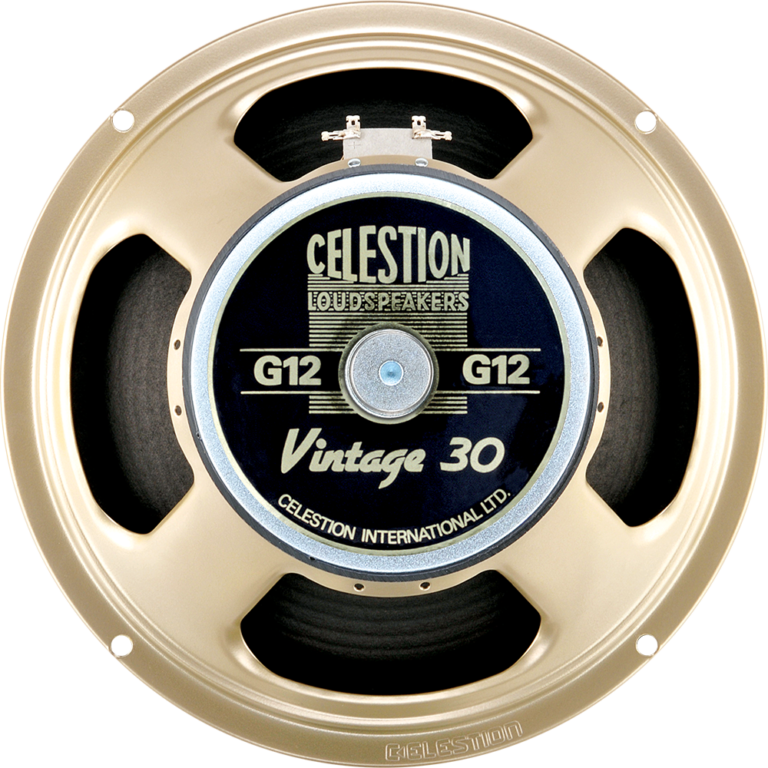 celestion 12 guitar speakers