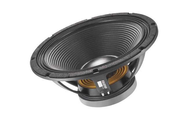 Woofer celestion store